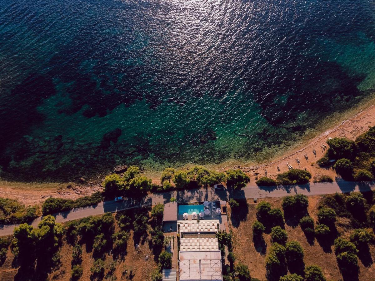 Casa Bloo Adults Only Hotel Елия Екстериор снимка